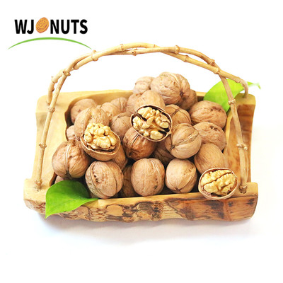 Washed 185 Walnut Inshell