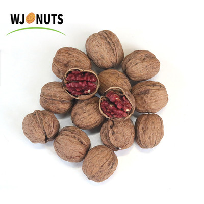Red Kernel Walnut Inshell