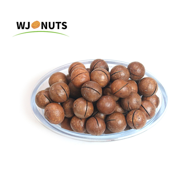 Cream Flavour Macadamia Nuts in Shell