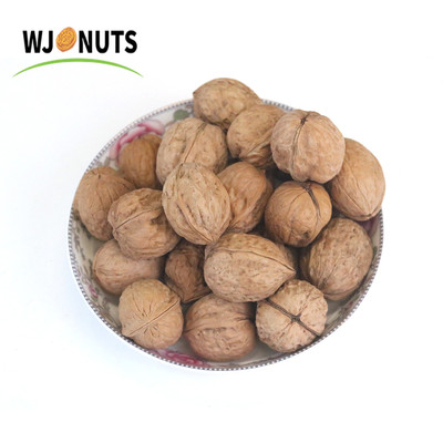 Xingfu Walnut Inshell